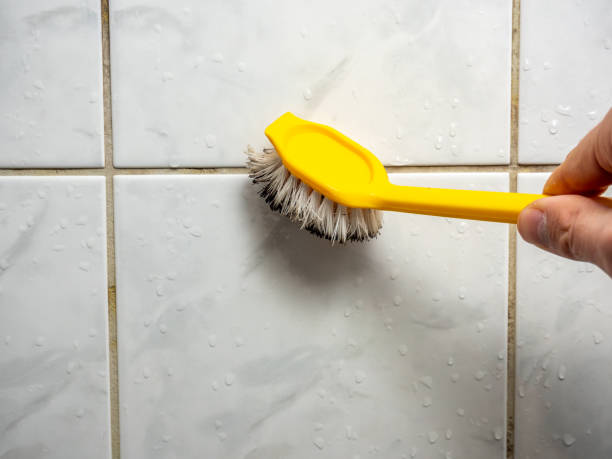Best Mold Removal Company Near Me  in Shelton, WA