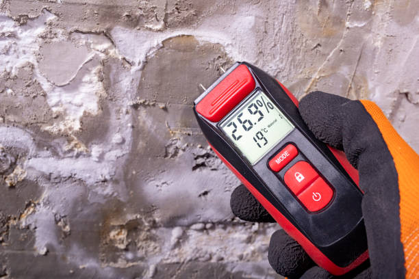 Best Home Mold Removal  in Shelton, WA