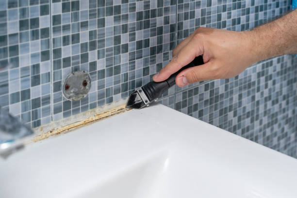 Reliable Shelton, WA Mold Removal Solutions