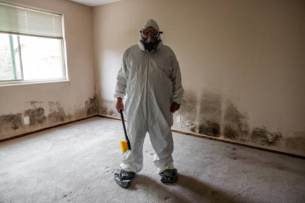 Best Certified Mold Removal  in Shelton, WA
